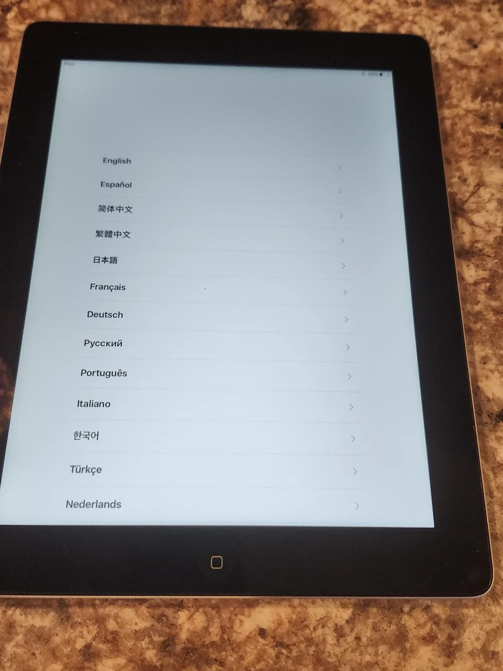 Apple iPad Silver Tablet - Sleek Silver Finish